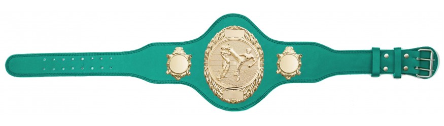 KICKBOXING TITLE BELT - PLT286/G/KBOG-4 COLOURS